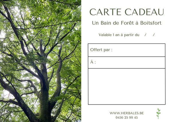 Bain de Forêt : carte cadeau